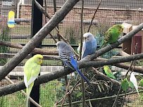 Friends of the Bergen County Zoo photo 3