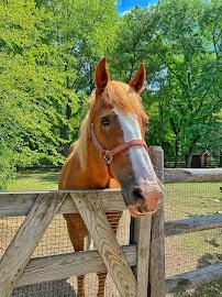 Friends of the Bergen County Zoo photo 5