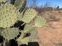 Sibley Nature Center photo 5
