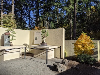 Pacific Bonsai Museum photo 3