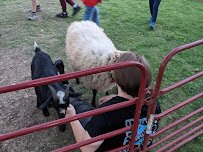 Funny Farm Mobile Petting Zoo photo 2