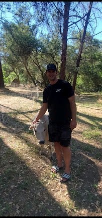 Funny Farm Mobile Petting Zoo photo 3