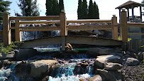 Sandy Dunes Adventure Golf photo 2