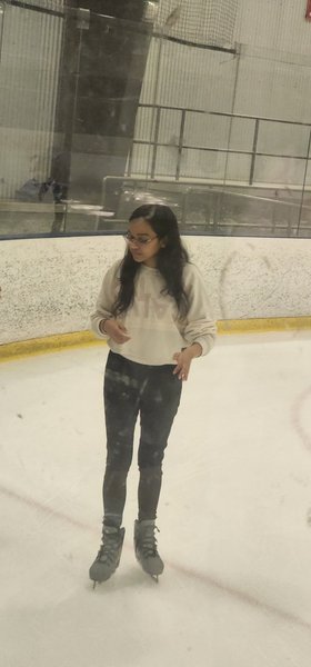 The Ice photo 5