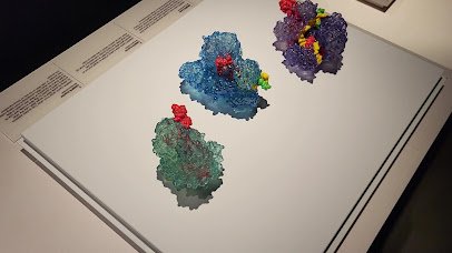 MIT Museum photo 2