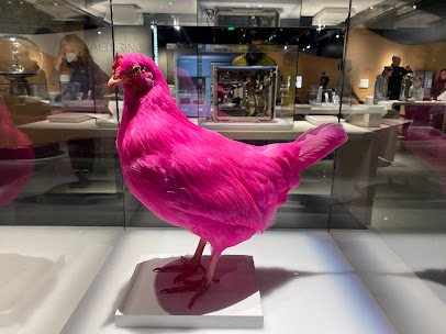 MIT Museum photo 4