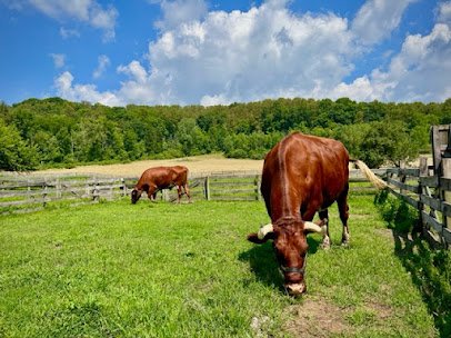 Hale Farm & Village