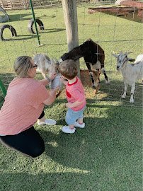 Morgan City Petting Zoo photo 6