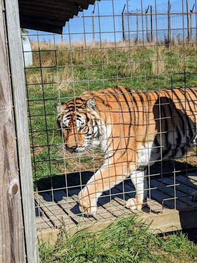 Wild World of Animals photo 6