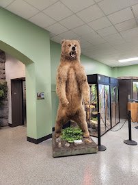 Lake Superior Zoo photo 3