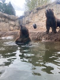 Lake Superior Zoo photo 4