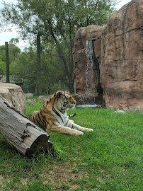 Lake Superior Zoo photo 6