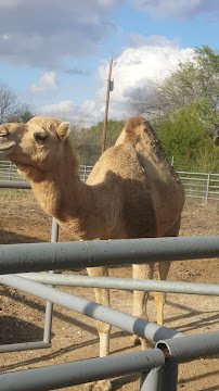 Animal World & Snake Farm Zoo photo 2