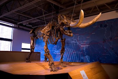 Mid-America Science Museum