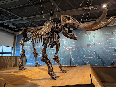 Mid-America Science Museum photo 6