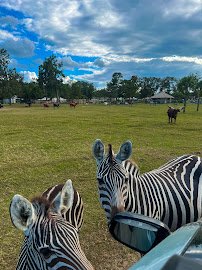 Eudora Wildlife Safari Park