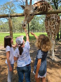 Eudora Wildlife Safari Park photo 3