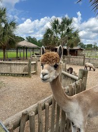 Eudora Wildlife Safari Park photo 4