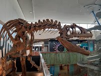 The Discovery photo 5