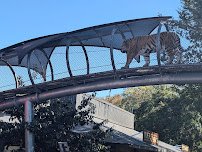 Big Cat Falls