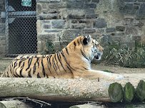 Big Cat Falls photo 3