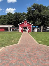 Animal Connection Experience at Fritz Park photo 5