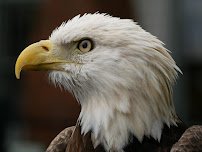 Audubon Center for Birds of Prey