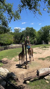 Brazos River Country photo 2