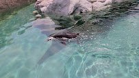 Mystic Aquarium photo 2