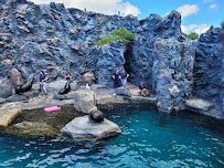 Mystic Aquarium photo 3
