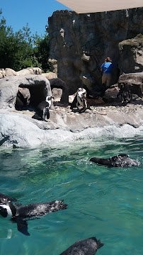 Mystic Aquarium photo 6
