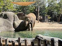 Cincinnati Zoo & Botanical Garden photo 5