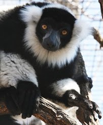 David Traylor Zoo of Emporia photo 5