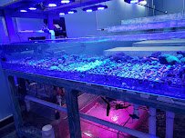 Violet Aquarium LLC photo 2