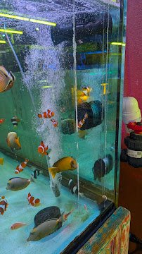 Violet Aquarium LLC photo 5