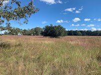 Armand Bayou Nature Center photo 5