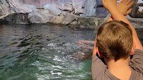 East pond lookout at Pine Knoll Shores Aquarium photo 2