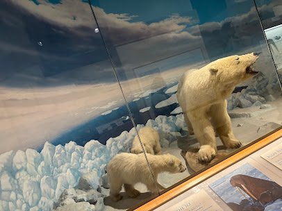 Putnam Museum and Science Center photo 4