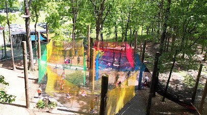 Putt Forest photo 5