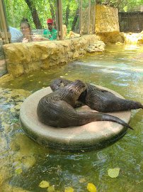 Discovery Center photo 5