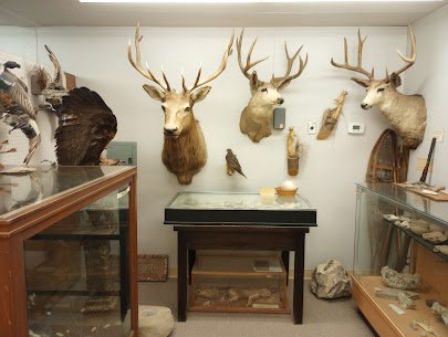 San Jacinto City Museum photo 4