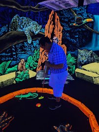 Sactown Family Fun Mini Golf And Arcade photo 5