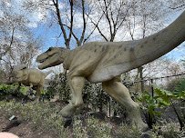 Snow Leopards, Bronx zoo photo 3