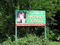 Monkey Jungle photo 4
