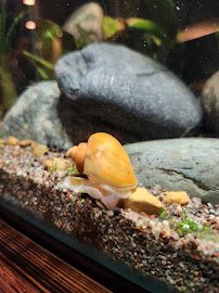 Aquatic Arts photo 2