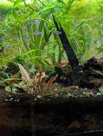 Aquatic Arts photo 3