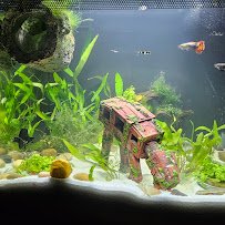 Aquatic Arts photo 5