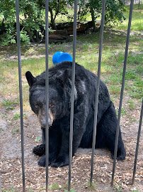 Popcorn Park Animal Refuge photo 4