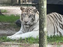 Popcorn Park Animal Refuge photo 5