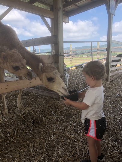 Green Horse Farm Animal Park & Petting Zoo photo 2
